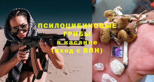 тгк Ладушкин