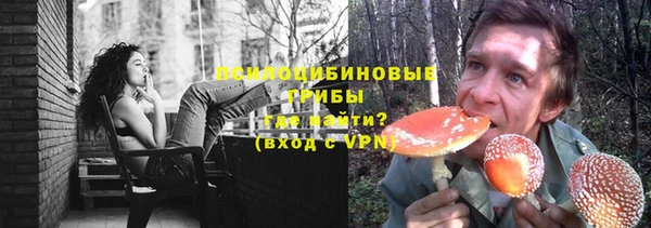 тгк Видное