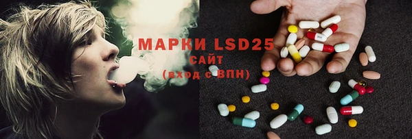 прущие грибы Лабытнанги