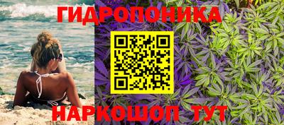 крисы Изобильный