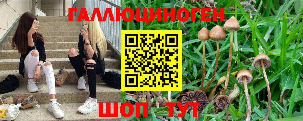 Псилоцибиновые грибы мухоморы  Вход с VPN  что такое   Лабытнанги 